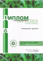 ВэйстТек - 2011г